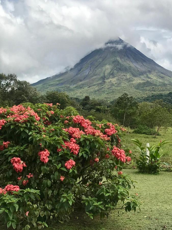 Arenal Roca Suites La Fortuna Εξωτερικό φωτογραφία