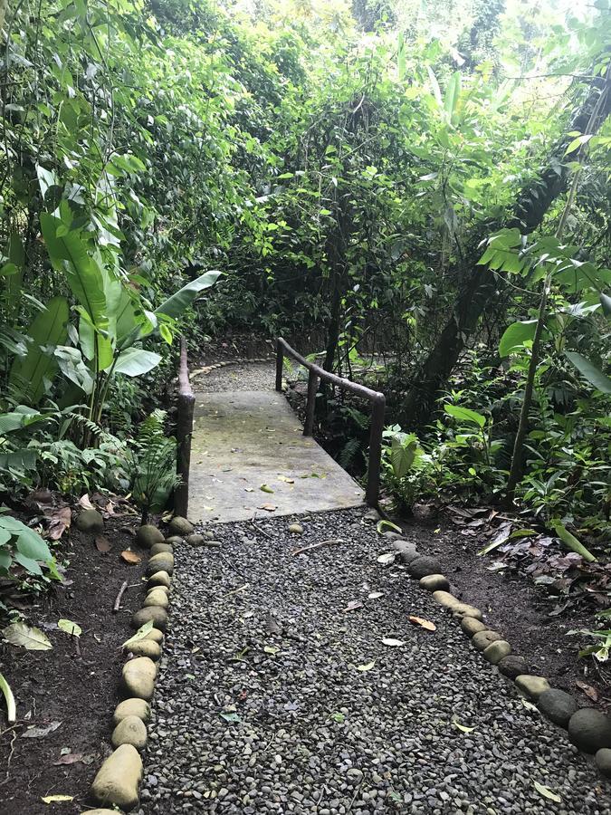 Arenal Roca Suites La Fortuna Εξωτερικό φωτογραφία